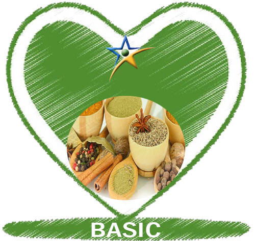 BASIC